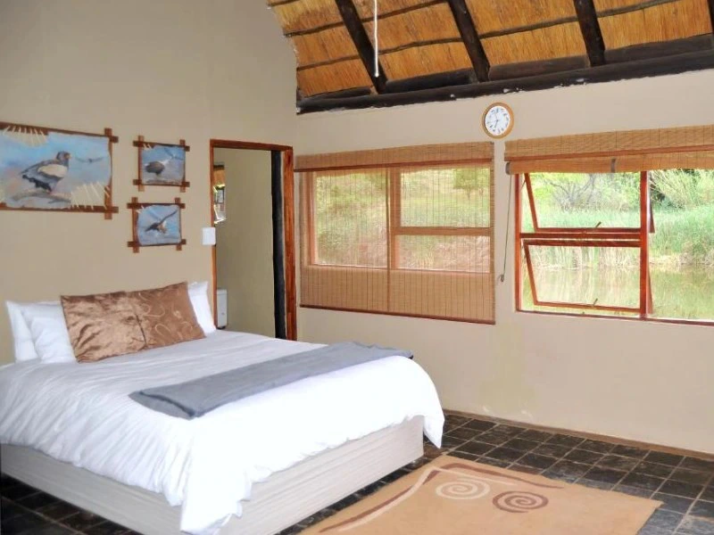 Geräumiges helles Zimmer mit großen Fenstern und Queensizebett in Tzaneen