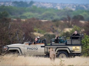 Safarifahrzeug Tuli Reservat