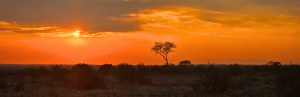 Sonnenuntergang in Südafrika