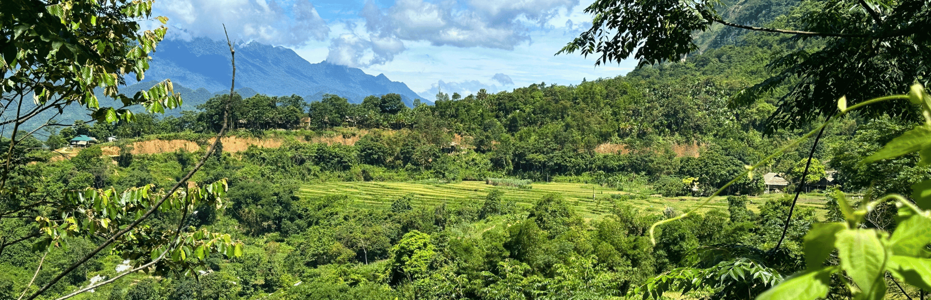 Grüne Landschaft in Pu Luong, Vietnam