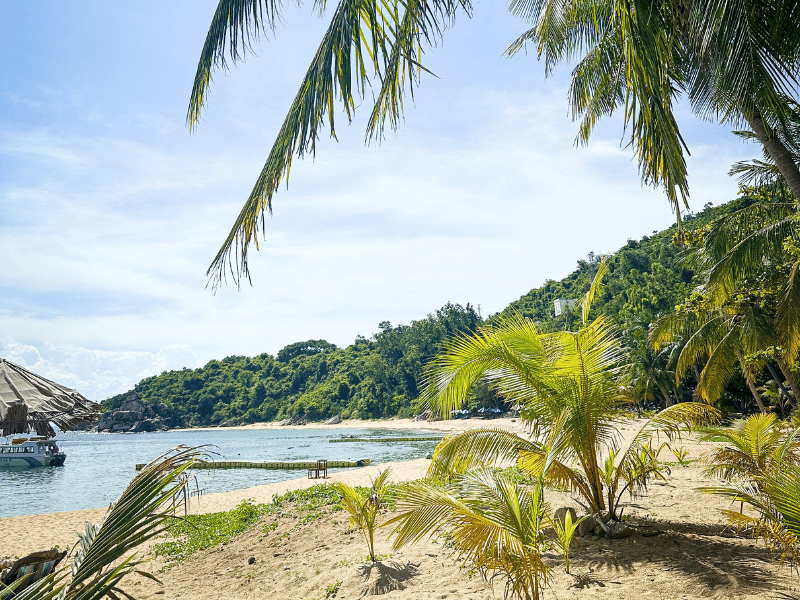Strand der Cham Inseln in Vietnam