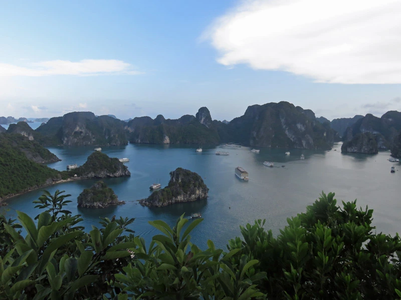 Karstfelsen in der Halong Bucht Vietnam