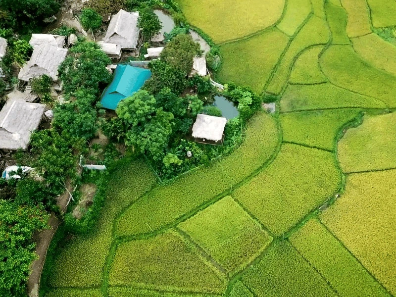 Ecolodge in den Reisfeldern in Pu Luong in Vietnam