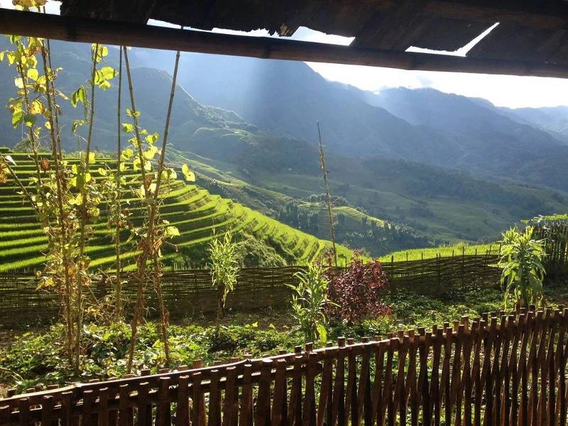 Homestay in den Reisterrassen in Sapa in Vietnam