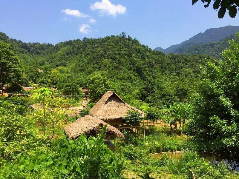 Ecolodge im Grünen in Pu Luong, Vietnam