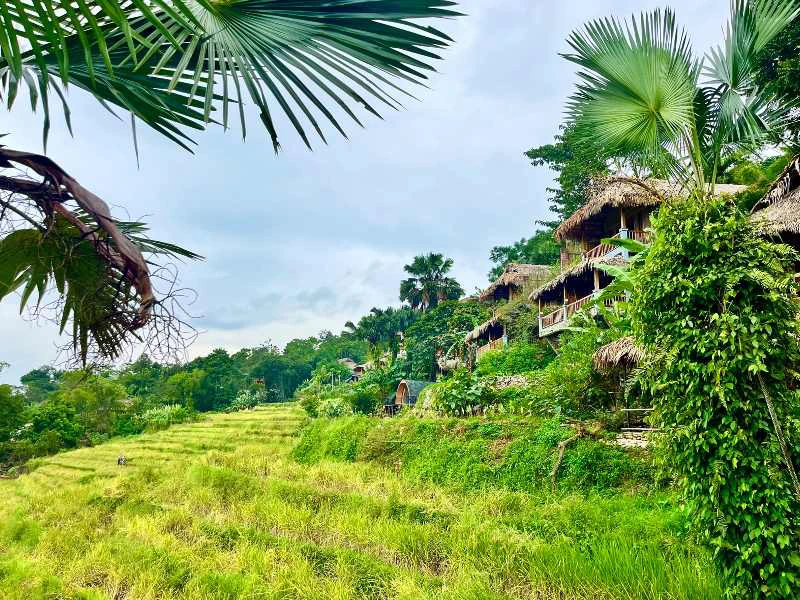 Grüne Umgebung vom Hotel in Pu Luong, Vietnam