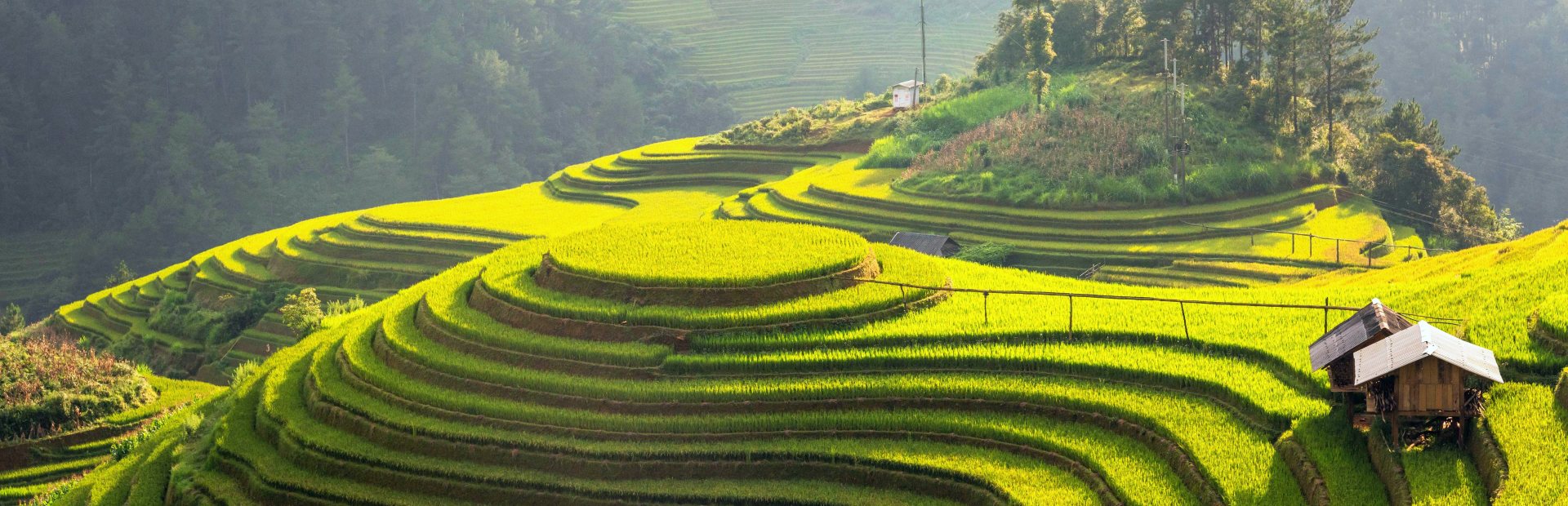 Reisterrassen bei Mu Cang Chai, Vietnam