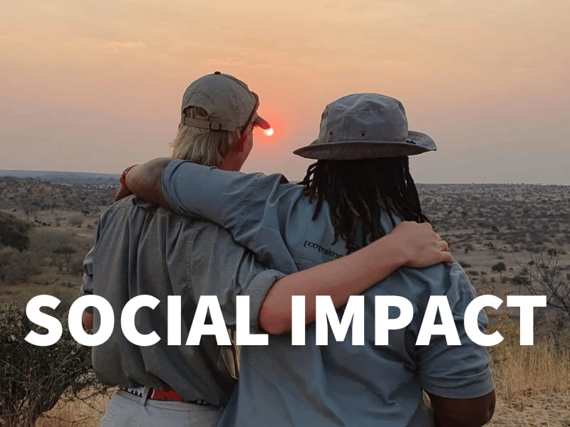 Social Impact