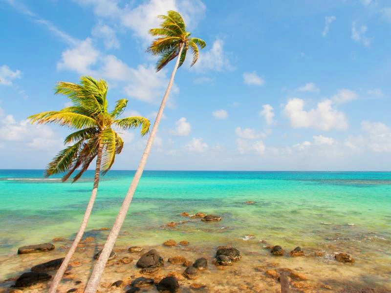 Palmen und blaues Meer auf den Corn Islands in Nicaragua