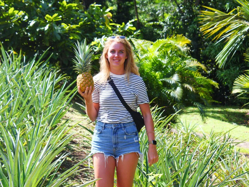Reisende hält Ananas in der Hand in Sarapiqui, Costa Rica