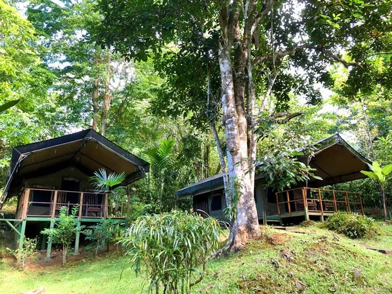 Safarizelte in grüner Umgebung in Costa Rica