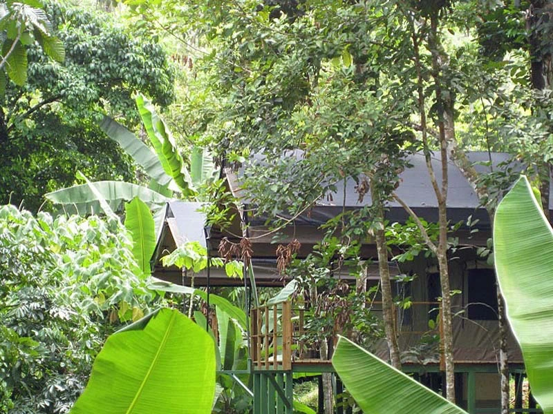 Garten der Unterkunft bei Uvita, Costa Rica