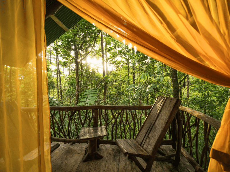 La Tigra Rainforest Lodge