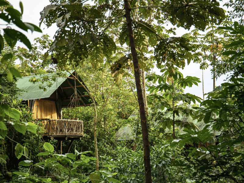 La Tigra Rainforest Lodge