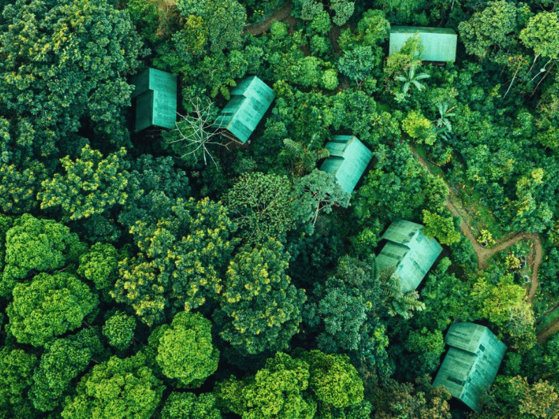 La Tigra Rainforest Lodge