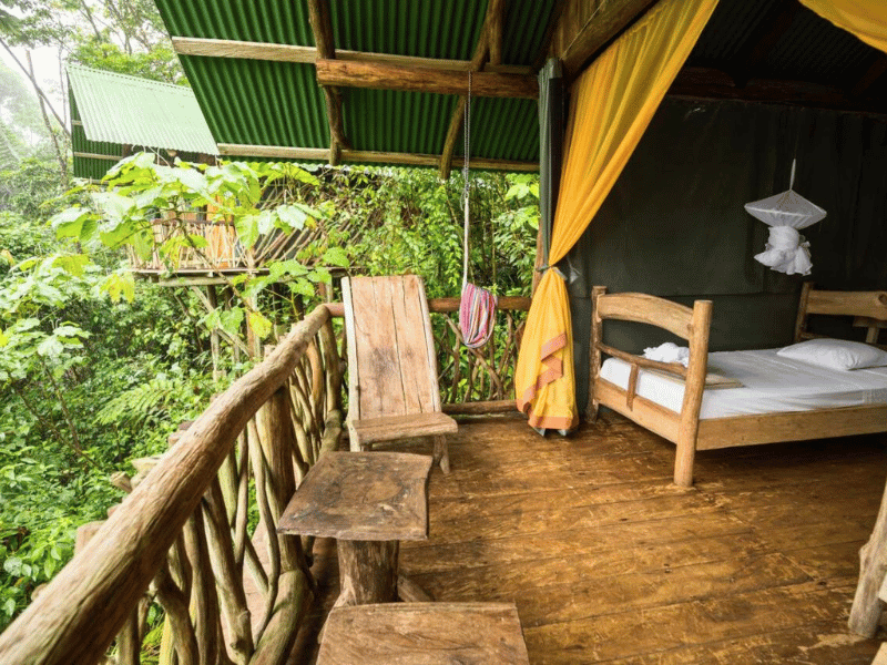 La Tigra Rainforest Lodge