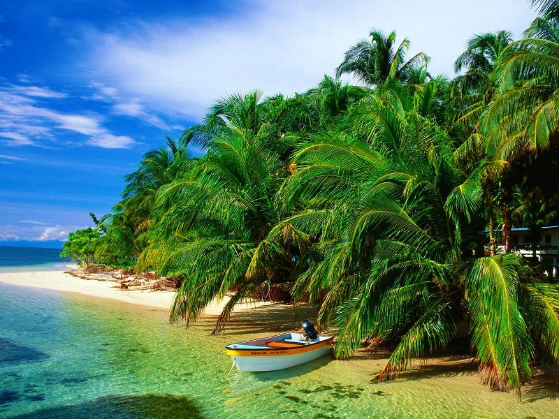 Palmen und Boot auf den Bocas del Toro in Panama