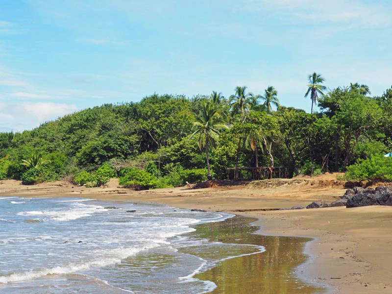 Sandstrand und Bucht bei Pedasi in Panama