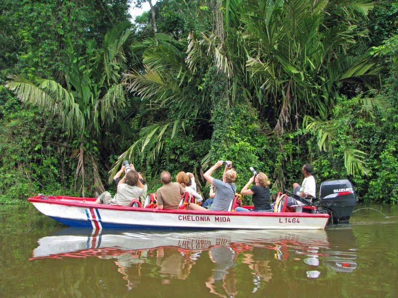 Touristen machen eine Bootstour und beobachten Tiere in Costa Rica