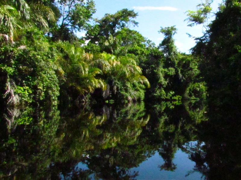 Spiegelung auf dem Wasser beim Kanal in Costa Rica