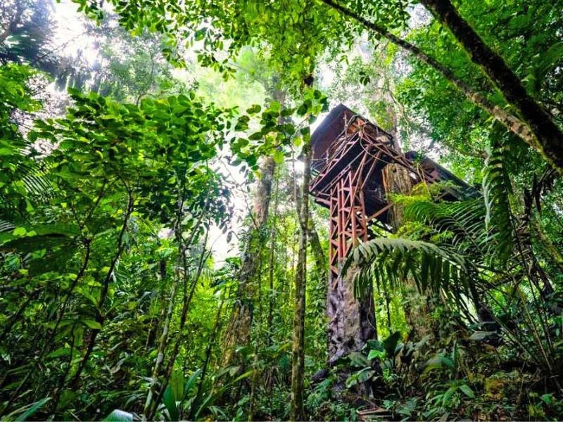 Baumhaus in Boca Tapada