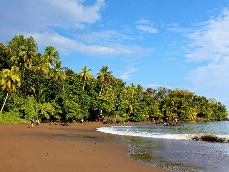 Strand mit Palmen in der Drake Bay in Costa Rica