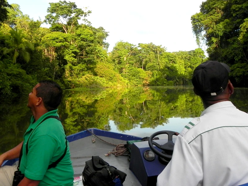 Bootstour im Dschungel in Costa Rica