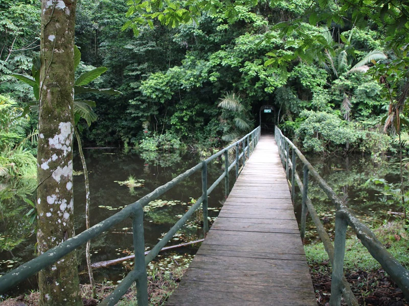 Weg zu den Baumhäusern in Boca Tapada, Costa Rica