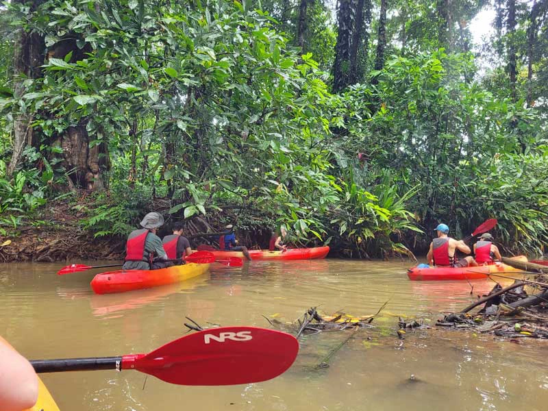 Kajaks unterwegs in Mangroven bei Punta Uva, Costa Rica
