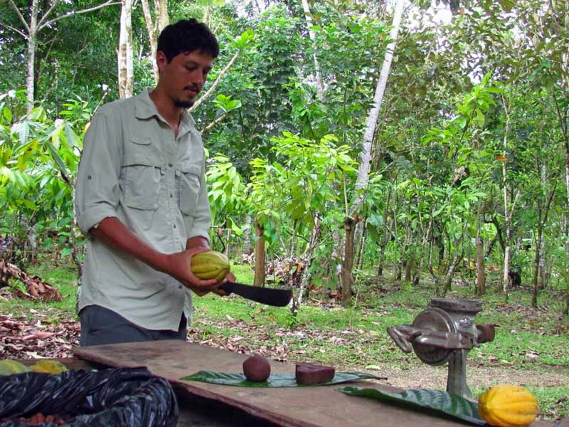 Guide zeigt Herstellung von Schokolade in Costa Rica