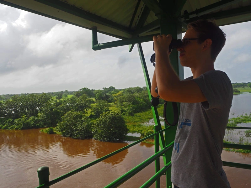 Mann schaut mit dem Fernglas am Cano Negro, Costa Rica