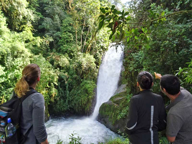 Wasserfall im Cloudbridge Reservat in Costa Rica