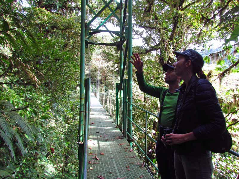 Hängebrücken in Panama