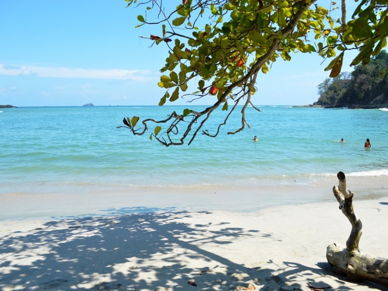 Beste Reisezeit Costa Rica Wetter & Klima 💚 erlebe Costa Rica