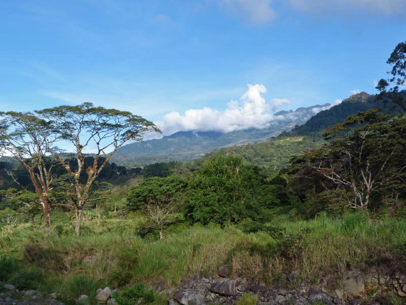 Landschaft rund um Boquete