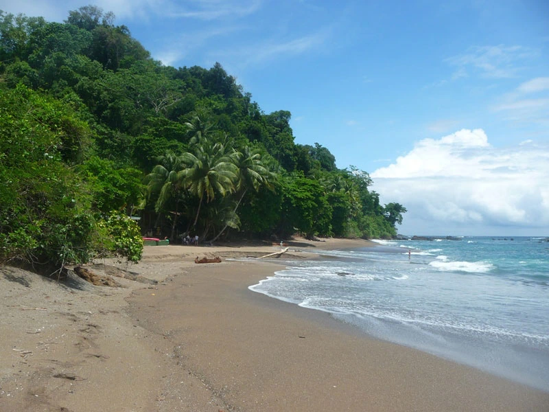 Strand auf der Isla de Cano, Costa Rica