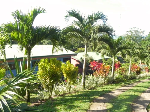 Unterkunft Sarapiqui Gärten Costa Rica