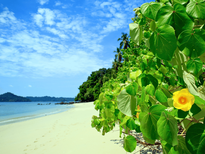 Strand auf der Isla Coiba in Panama