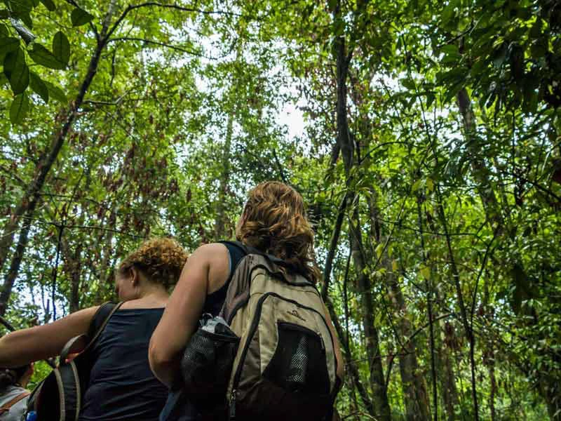 Wanderer unterwegs im Corcovado Nationalpark, Costa Rica