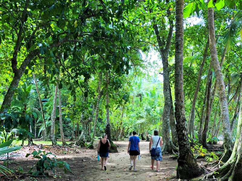 Frauen laufen durch den Gandoca Manzanillo Park in Costa Rica