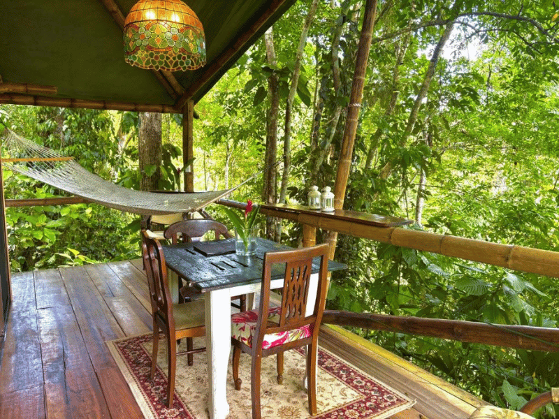Balkon mit Blick ins Grüne beim Glamping in Puerto Viejo, Costa Rica
