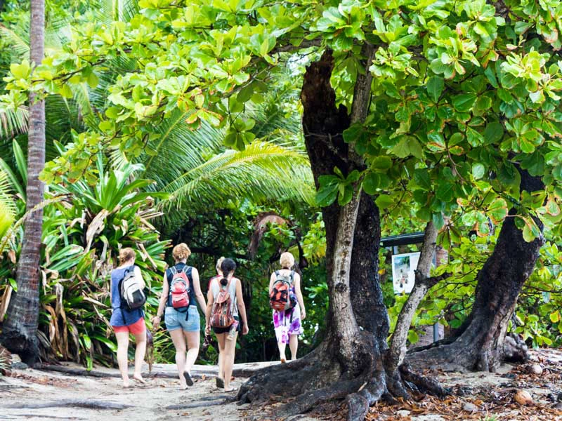 montezuma-strand-baeume-menschen