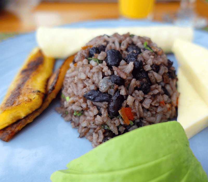 Gallo Pinto Costa Rica