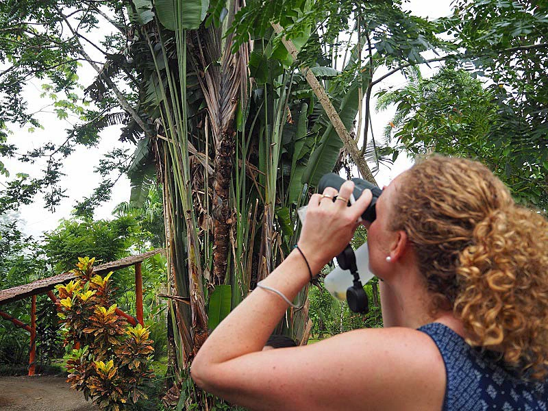 Frau beobachtet Vogel im Baum
