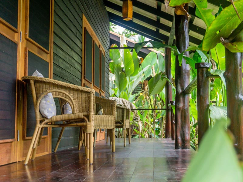 Blick in den Garten des Komforthotels auf den Bocas del Toro in Panama