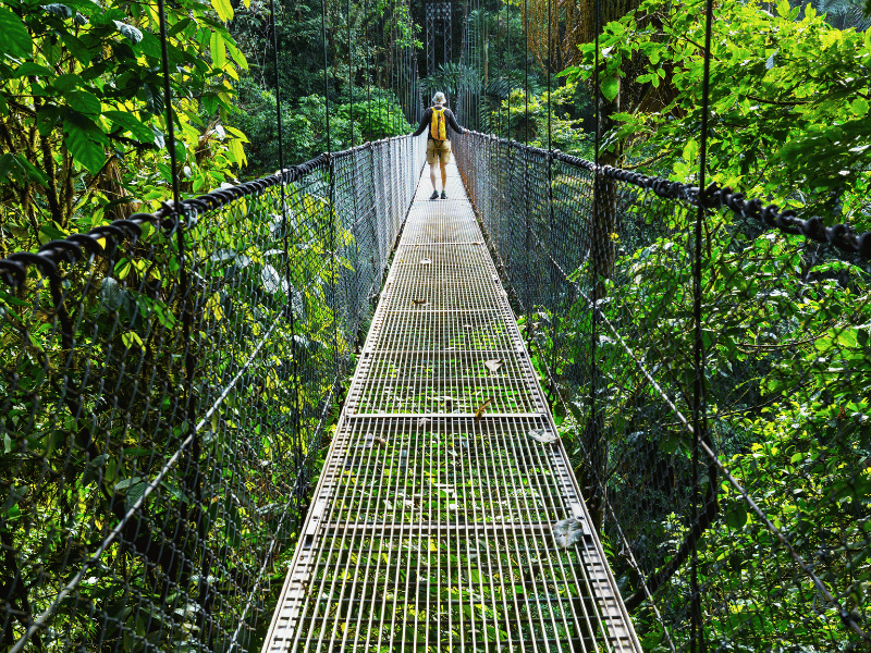 Hängebrücke in Monteverde, Costa Rica