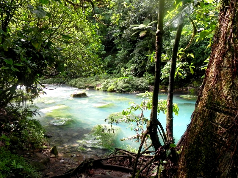 Türkisfarbener Fluss Rio Celeste