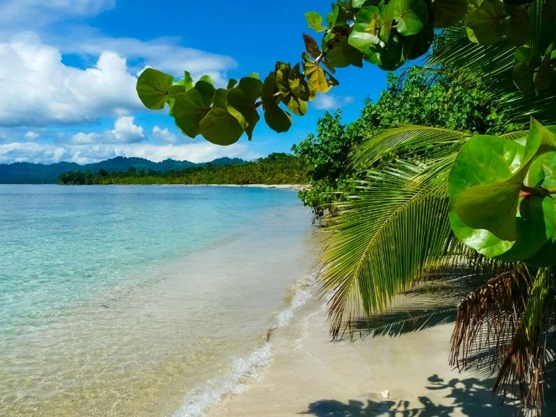 Strand im Cahuita Nationalpark