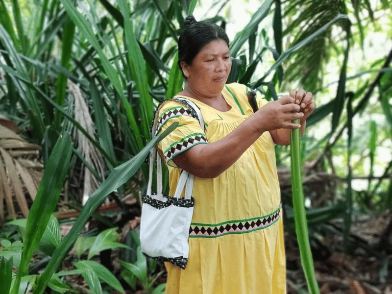 Einheimische während des Kochkurses auf Bocas del Toro