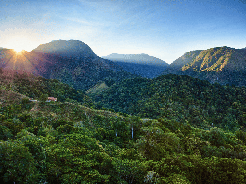Mount Totumas Cloud Forest, Panama